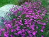 Thumb_93d1bdef-fd5b-4402-8565-c0928de4eda6