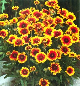 98fbd77e-6c94-42bb-9c8e-67c4476dd3d0