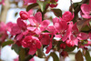 Thumb_8ad5bfd6-f9ae-4529-9ad1-aef5e079a6f8