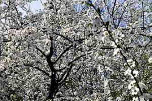 74d76219-5d86-4e80-9c4e-a2ac5cf5258a