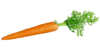 Thumb_12a37aa9-e3a6-4d4b-b65d-b392ba8ea956