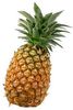 Thumb_3c62951a-a1eb-48ca-bd61-e4d76e878d22