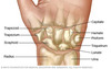 Thumb_009da8b1-ff25-4283-a083-ff2335f732c4