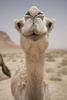 Thumb_7d9d7e4a-6ec2-4beb-9a1e-f513086913dd
