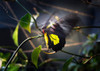 Thumb_0df52a4e-a752-4c23-bc13-22c0b2d673b1