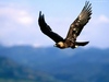 Thumb_7683d641-454d-4154-9761-92236777198d