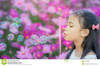 Thumb_711370f0-c85d-4828-bf49-6216f5b24399