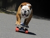 Thumb_7b443e23-4b12-47c9-8f3c-8ad6e54148ec