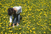 Thumb_a4b48bf4-1945-4817-b0bf-398110cf9212