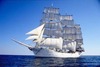 Thumb_2d71bf01-7a8e-4523-9c8f-b210eb1e9974