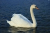 Thumb_c2dde745-9469-43e4-a862-02ffcb621f49