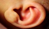 Thumb_373c0e45-f798-479d-8e24-c7725030cdbd