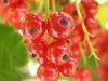 Thumb_8d534580-6091-4814-8f09-ed05a7d59123