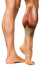 Thumb_cbab24d3-10e0-4403-9a94-63f940bbb449