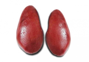 45d3adfa-fc75-478b-945a-c3bfc5a284fd