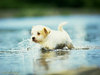 Thumb_7aa38ad7-159d-4a01-95f5-b239cef96208