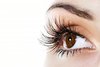 Thumb_9334d7e5-6570-4e7e-8ee3-20186b3aedbf