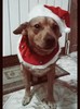 Thumb_3bc4a957-ebdd-4c92-8267-50740c5dc28b