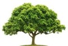 Thumb_4076e2b0-1fb4-4997-8771-8bbe8aaec040