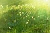 Thumb_362e0ce0-d794-4559-97ee-5c9d99f5deef