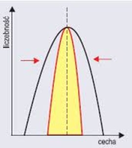 45331c33-2328-48fb-9884-14b49cb1903f