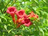 Thumb_13c39643-fbc3-4e0c-b9e6-b53c575be93b