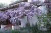 Thumb_87dedf3b-b41c-448b-a99a-8dcd5101dc1d
