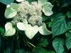 Thumb_0a9cdca0-ea52-4a34-b854-df34485689f8