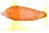 Thumb_1ae6370b-476b-47bf-9522-4cdb8a81aa37