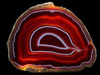 Thumb_009db183-1327-402b-8f83-d8bb8f675acf