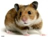 Thumb_42e16563-b55c-4da4-a99b-0a9ca6b20af3
