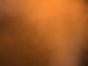 00dc9dd7-099b-40a6-85f3-09bc9362a6b8