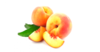 Thumb_e2178550-ca9d-4843-9279-b01f967dc04c