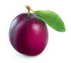 Thumb_13657ec6-cd1d-4f9d-bde1-fd0aed89b41d