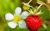 Thumb_42bb445a-89e3-4a34-a995-d1247ae1b202