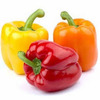 Thumb_3c323582-a53c-4dd1-acfa-c4b93dd9a7cd