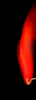 Thumb_f0e3baf3-b25b-437b-8e87-e7c37d4fd149