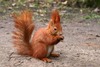 Thumb_c61fff95-b744-4754-8911-e21fbf7c0bf0