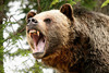 Thumb_2da9a6ce-36cf-425d-a872-840a7f112ba7