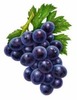 Thumb_624c9b2c-a581-4496-bf84-96ac817c3af8