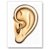 Thumb_099bffbb-3c74-4d38-b82a-a14ea91d28fa