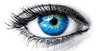 Thumb_1ffa909d-863d-4c95-aed3-82bd4aa8fafb