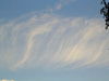 Thumb_db888e14-8b64-47f8-8d1b-8efce8408474