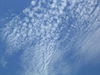 Thumb_84b0a926-541e-4084-8000-e7439848fcf9