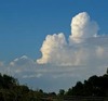 Thumb_3ad00043-5b2b-4ae3-8dc5-18dbdec4a4aa