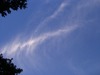 Thumb_223d43ec-e194-4520-8081-f75a5ad01d3d