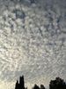 Thumb_b126f85c-ac3c-4d8d-9549-98cf8c3d7de1