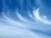 Thumb_78f503b9-a074-40e8-bb2d-468094bfe39a
