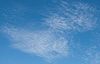 Thumb_9dd26575-6ac6-49ea-9924-f2310ae3b03b