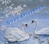 Thumb_84d6fbdf-1f83-4c6e-88ba-63f8768d9441